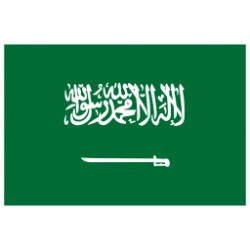 Saudi Arabia RDP - Cloud RDP - Riyadh ( Saudi Arabia )