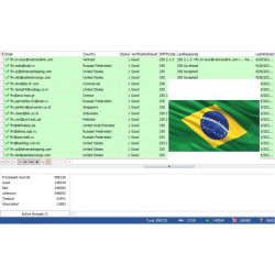 100,000 Brazil - Business Email Leads [ 2024 Updated ]